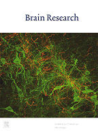BrainResearchCover